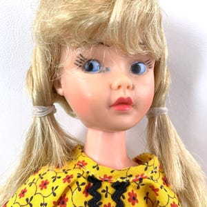 Vintage 1960s Ellie May Clampett Calico Lassie Doll Tammy Clone with Outfits