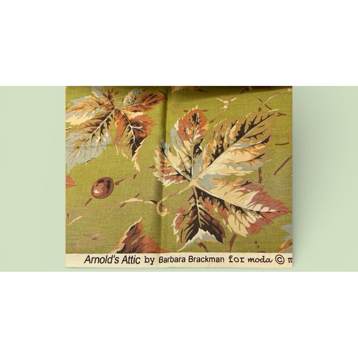 Quilt Craft Fabric 100% Cotton Arnold's Attic Pattern 8167 Moda Fabrics Fall