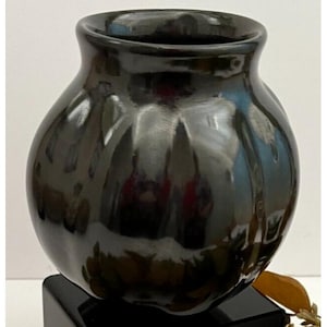 May include: A glossy black ceramic vase with a rounded body and a slightly flared rim. The vase has a smooth, reflective surface, and it sits on a black base. The design is simple and elegant, suitable for home decor.
