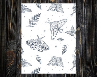 Moth Coloring Page -- Adult Coloring Page