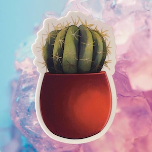 Adesivo per fioriera a forma di cactus a botte in rosso