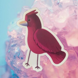 Pegatina de Pan the Bird