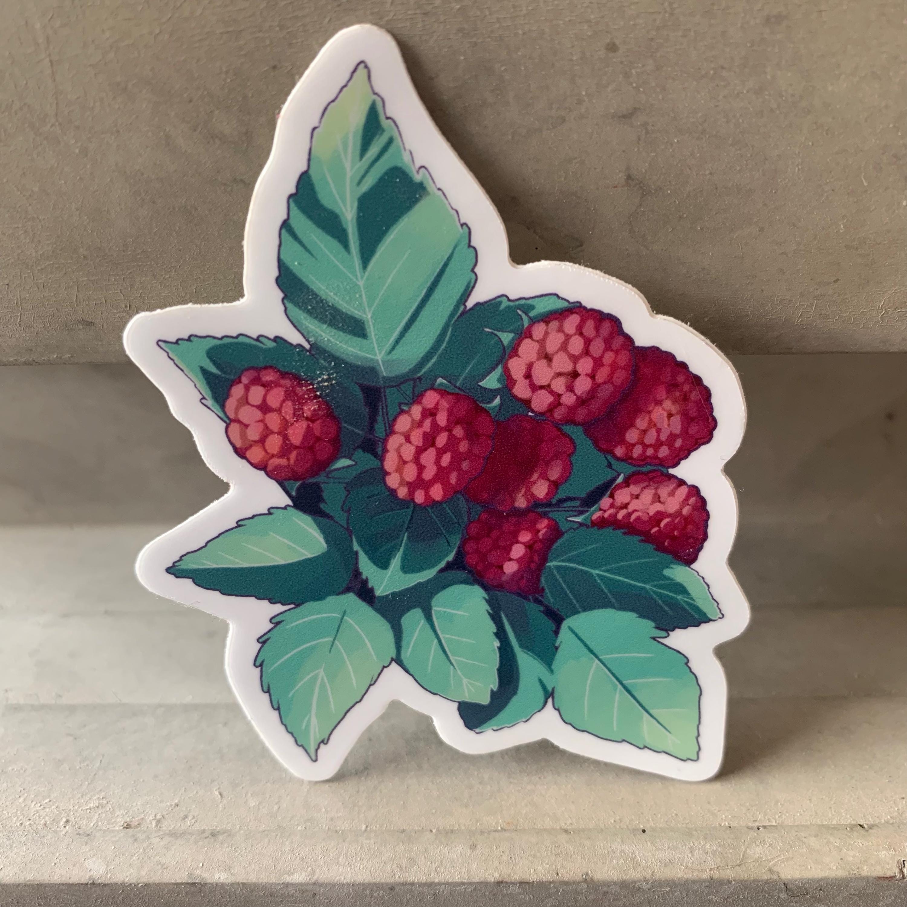 Sticker Bush Name Raspberry Bush Die Cut Sticker Berry Picking Vinyl Decal - Etsy