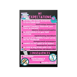 Póster satinado de expectativas en el aula de la escuela media/secundaria: rosa, varios tamaños disponibles *Póster físico enviado a usted*