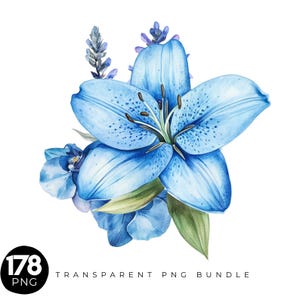 Op de afbeelding: Waterverfillustratie van een blauwe lelie en andere blauwe bloemen met groene bladeren. De afbeelding bevat de tekst "178 PNG TRANSPARENT PNG BUNDLE". De lelie heeft donkerblauwe vlekken op de bloemblaadjes.