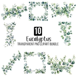Eucalyptus PNG Bundle, Watercolor Eucalyptus Clipart, Watercolor Botanical PNG, Eucalyptus Corner Border, Eucalyptus Border Wreath