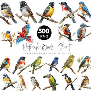 Paquete de 500 aves en acuarela (PNG), pájaro en rama, imágenes de especies de aves, sublimación de aves, ilustración de aves, scrapbooking, descarga digital