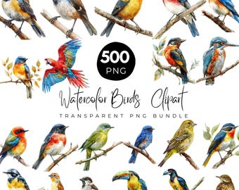 500 Watercolor Birds Png Bundle, Bird On Branch, Bird Species Images, Bird Sublimation, Bird Illustration, Scrapbooking, Digital Download