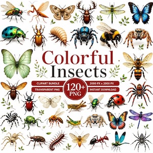 May include: A digital collection of various insects and arachnids including beetles, butterflies, spiders, bees, and dragonflies. The central text reads Colorful Insects, Clipart Bundle, 120+ PNG, 2000 px x 2000 px, and Instant Download.