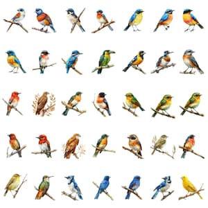 May include: A watercolor painting of various colorful birds perched on branches. The birds are depicted in a variety of poses, some with their wings spread, others with their beaks open. The painting is set against a white background.