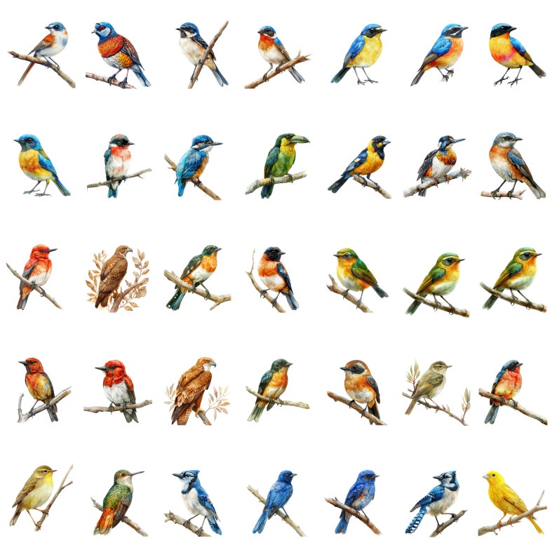 May include: A watercolor painting of various colorful birds perched on branches. The birds are depicted in a variety of poses, some with their wings spread, others with their beaks open. The painting is set against a white background.