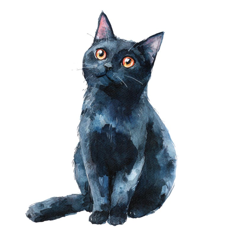 May include: Watercolor painting of a black cat with bright orange eyes, sitting upright and looking upwards. The cat's fur is a deep black with subtle blue undertones, and the artwork is set against a clean white background.