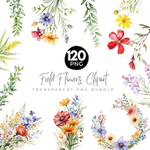 Paquete de 120 imágenes prediseñadas de flores de campo, flores silvestres de pradera, coronas coloridas, marcos florales, ramos de flores pequeños y marcos florales.