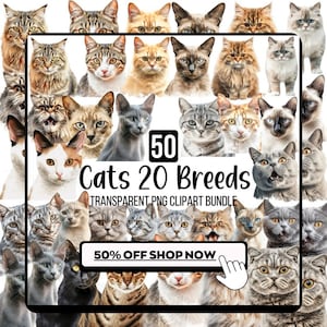 Lot de 50 cliparts PNG chat, 20 dessins d'illustration de chat, impression par sublimation de portrait de chat mignon PNG, graphiques de chaton d'amoureux des chats PNG
