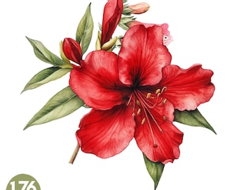 Paquete de 176 imágenes prediseñadas de flores rojas, flores de acuarela PNG, flores rojas y ruborizadas, flores para ramos de boda, rosas de San Valentín PNG, descarga digital