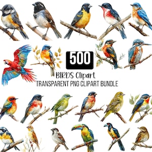 500 Watercolor Birds Png Bundle, Bird On Branch, Bird Species Images, Bird Sublimation, Bird Illustration, Scrapbooking, Digital Download