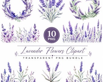 Clipart di fiori di lavanda ad acquerello, clipart di fiori selvatici in formato PNG, giardino di lavanda in formato PNG, clipart di fiori viola tenue, download digitale