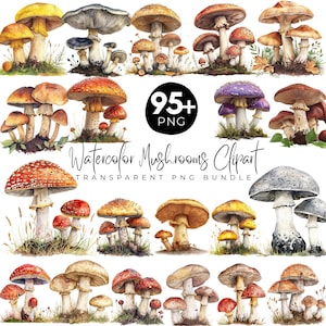 95+ Watercolor Mushrooms Clipart Bundle, Cute Mushroom & Magical Nature Illustrations, Forest Toadstool Graphics, Digital Download