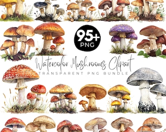 95+ Watercolor Mushrooms Clipart Bundle, Cute Mushroom & Magical Nature Illustrations, Forest Toadstool Graphics, Digital Download