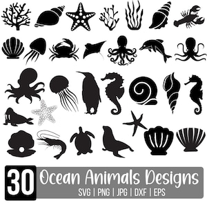 Paquete SVG de animales marinos, animales del océano, vida marina, bajo el mar, caballito de mar, Cricut Cut, Silhouette Studio