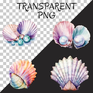 May include: Four watercolor illustrations of seashells with pearls. The shells are in various shades of pink, purple, and blue. The pearls are white and iridescent.