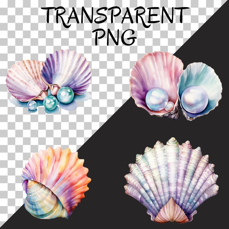 May include: Four watercolor illustrations of seashells with pearls. The shells are in various shades of pink, purple, and blue. The pearls are white and iridescent.