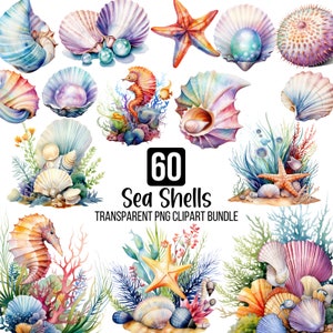 60 schelpen clipartbundel, zeeanemoon clipart png, aquarel schelpen, zeepaardje, Sea Life png, Sea Star, Pearl Shell, digitale download