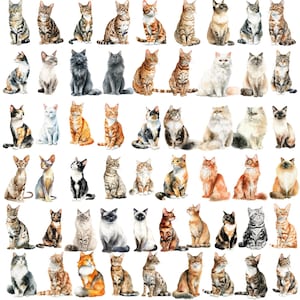 May include: A collection of watercolor paintings of various cat breeds. The cats are depicted in different poses and colors, including tabby, calico, Siamese, and Persian. The artwork showcases a variety of fur patterns and eye colors, creating a diverse and artistic display.