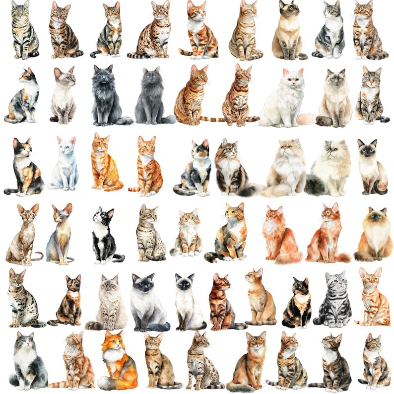 May include: A collection of watercolor paintings of various cat breeds. The cats are depicted in different poses and colors, including tabby, calico, Siamese, and Persian. The artwork showcases a variety of fur patterns and eye colors, creating a diverse and artistic display.