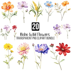 20 imágenes prediseñadas de flores silvestres de acuarela, flores silvestres bohemias, flores de acuarela, flores silvestres exuberantes, flores bohemias, imágenes prediseñadas de flores, descarga instantánea