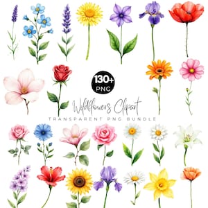 May include: A watercolour illustration of various wildflowers, including lavender, daisies, roses, and poppies. The image includes the text "Wildflowers Clipart" and "Transparent PNG Bundle". The flowers are in full bloom, with vibrant colours and detailed petals.