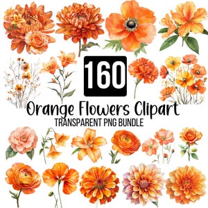 Pacote com 160 clipart de flores de laranjeira, buquê de flores em aquarela PNG, flor de laranjeira PNG, flores de primavera e flores de verão PNG, download digital