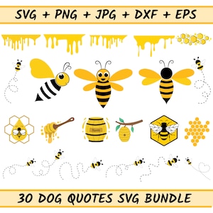 Bee svg bundel, schattige bij svg, honingbij pad bundel SVG, Queen Bee Svg, Bee Hive Svg, Bumble Bee Svg, druipende Svg, Honey Comb Beehive Svg
