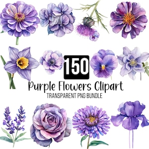 150 lila Blumen Clipart PNG Bundle, Daisy Blume Png, Wildblumen Clipart, Aquarell lila Blumen digitaler Download