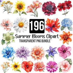Paquete de 196 imágenes prediseñadas de flores de verano, flores de verano en acuarela (PNG), flores silvestres (PNG), flores de verano vibrantes, elementos de flores en acuarela