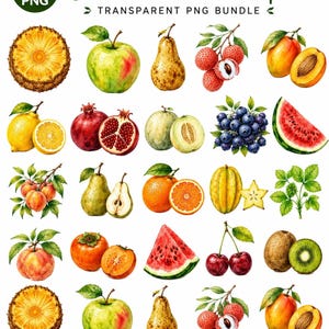 Può includere: Una collezione digitale di illustrazioni ad acquerello di frutta estiva che include fette di ananas, mele, pere, litchi, pesche, limoni, melograni, meloni, mirtilli, fette di anguria, arance, carambole, ciliegie e kiwi.