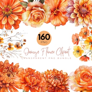 May include: An illustration of orange watercolour flower clip art. The image showcases various orange flowers, including roses and dahlias. The text "Orange Flower Clipart" and "Transparent PNG Bundle" is also included.