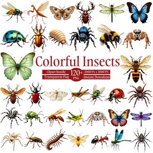 Pode incluir: Uma coleção digital de vários insetos e aracnídeos, incluindo borboletas, besouros, aranhas e abelhas. A imagem apresenta o texto Colorful Insects, Clipart Bundle, 120+ PNG, 2000 Px x 2000 Px e Instant Download em um fundo branco.