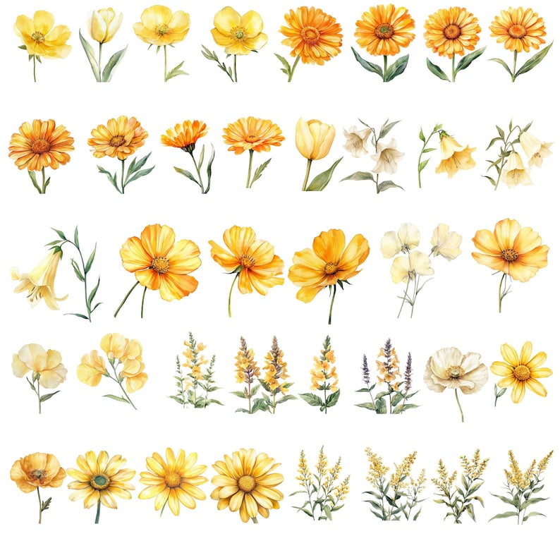 May include: Watercolor illustration of various yellow flowers, including daisies, tulips, and bell-shaped blooms. The flowers are depicted with detailed petals and green stems, showcasing a range of shapes and sizes. The artwork has a soft, artistic style.