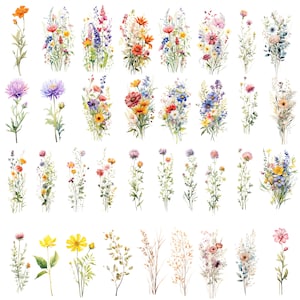 May include: Watercolor illustrations of various wildflowers in shades of pink, purple, blue, yellow, and orange. The flowers are arranged in bouquets and individual stems.