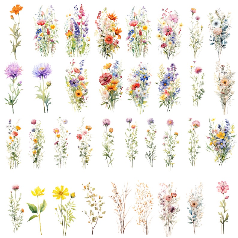 May include: Watercolor illustrations of various wildflowers in shades of pink, purple, blue, yellow, and orange. The flowers are arranged in bouquets and individual stems.
