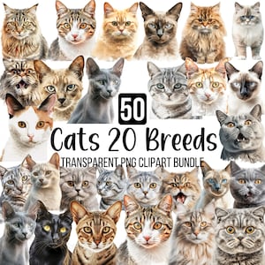 Lot de 50 cliparts PNG chat, 20 dessins d'illustration de chat, impression par sublimation de portrait de chat mignon PNG, graphiques de chaton d'amoureux des chats PNG