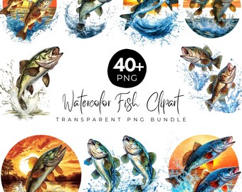40+ aquarel vis clipartbundel, transparante PNG visillustraties, visserij decor kunst, digitale download