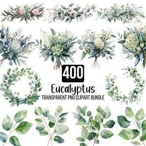 400 bundle di clipart di eucalipto ad acquerello, foglie di eucalipto PNG, bouquet di ghirlande di eucalipto, clipart di verde doccia di eucalipto