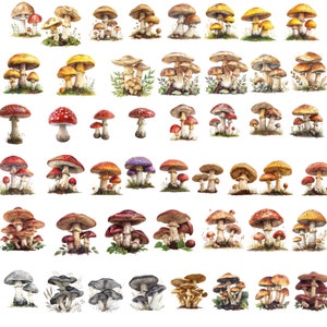 May include: A collection of watercolor illustrations of various types of mushrooms. The mushrooms are depicted in different colors, shapes, and sizes, with some featuring intricate details like spots and patterns.