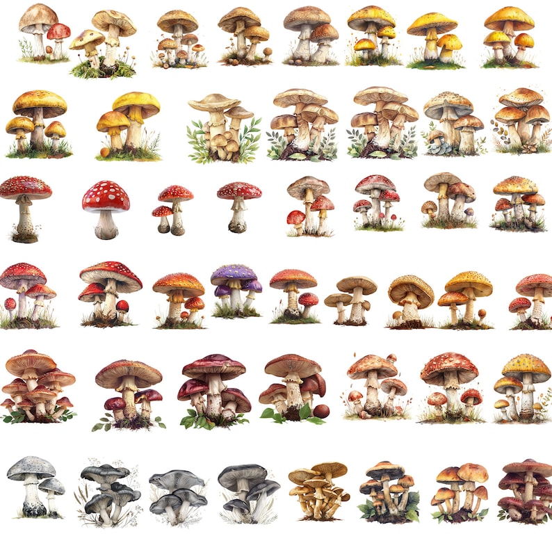May include: A collection of watercolor illustrations of various types of mushrooms. The mushrooms are depicted in different colors, shapes, and sizes, with some featuring intricate details like spots and patterns.