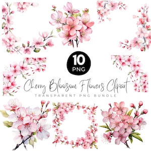 Op de afbeelding: Een verzameling aquarel kersenbloesem bloem clipart in roze en witte tinten. De afbeelding bevat verschillende bloemstukken, hoekontwerpen en een vierkant frame. De tekst "Cherry Blossom Flowers Clipart" is ook zichtbaar.