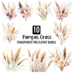 Aquarelle herbe de la pampa Clipart Png, ensemble de cliparts Boho rose, Clipart floral Boho, herbe de la pampa, Clipart fleurs mariage