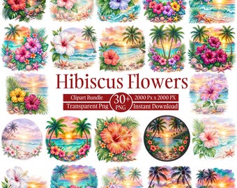 30+ Tropical Hibiscus Flowers Clipart Bundle, Watercolor Hibiscus PNG, Hawaiian Floral Clipart, Summer Tropical Flowers, Digital Download