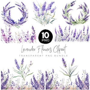 Watercolor Lavender Flower Clipart, Wildflowers floral clipart PNG, Lavender Garden Png, Soft Purple flowers clipart, Digital Download